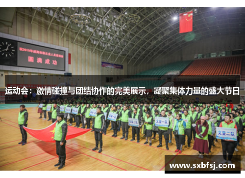 运动会：激情碰撞与团结协作的完美展示，凝聚集体力量的盛大节日