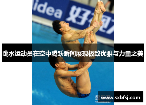 跳水运动员在空中腾跃瞬间展现极致优雅与力量之美