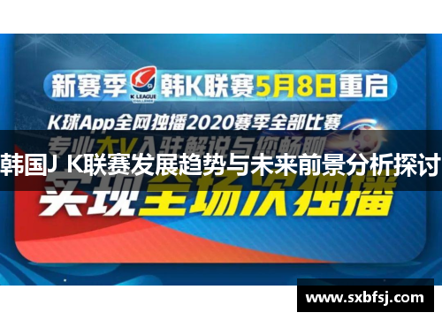 韩国J K联赛发展趋势与未来前景分析探讨